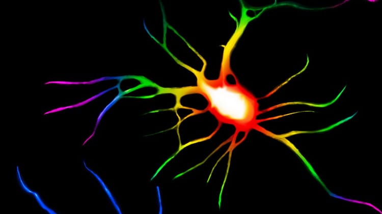 Almadel operation on LSD